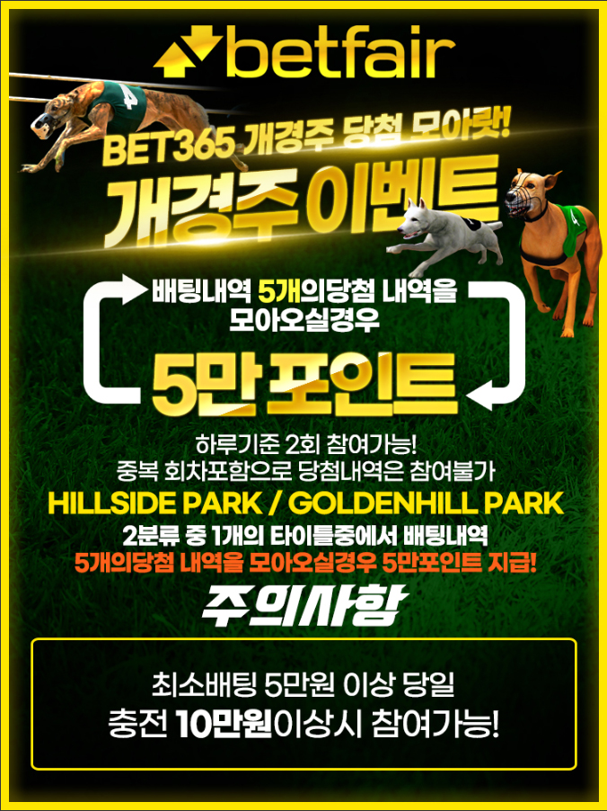 토토사이트 토토-벳페어-betfair 온라인 바카라사이트